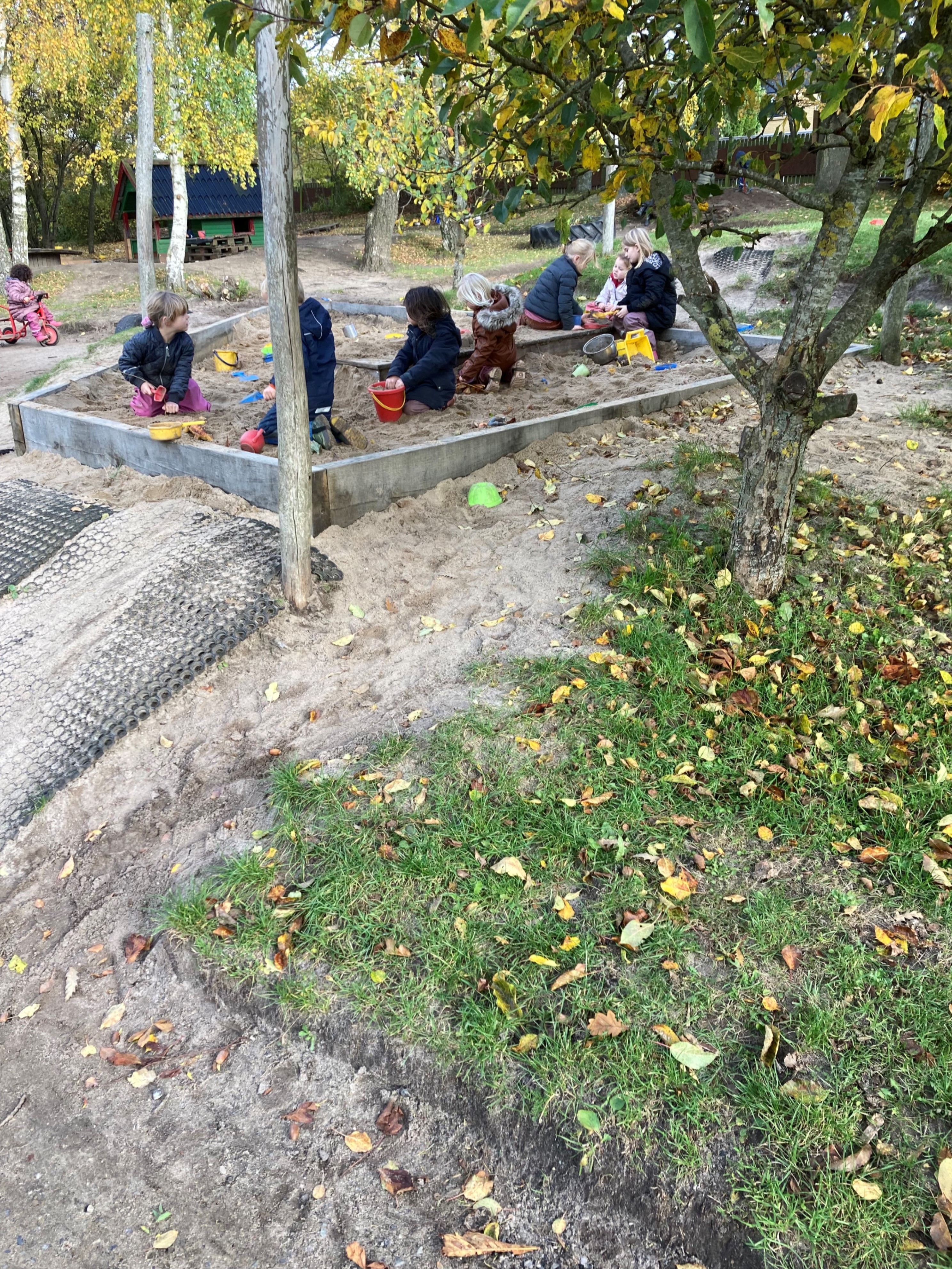 Børnehaven leger i sandkassen i Børnehuset Hørhaven