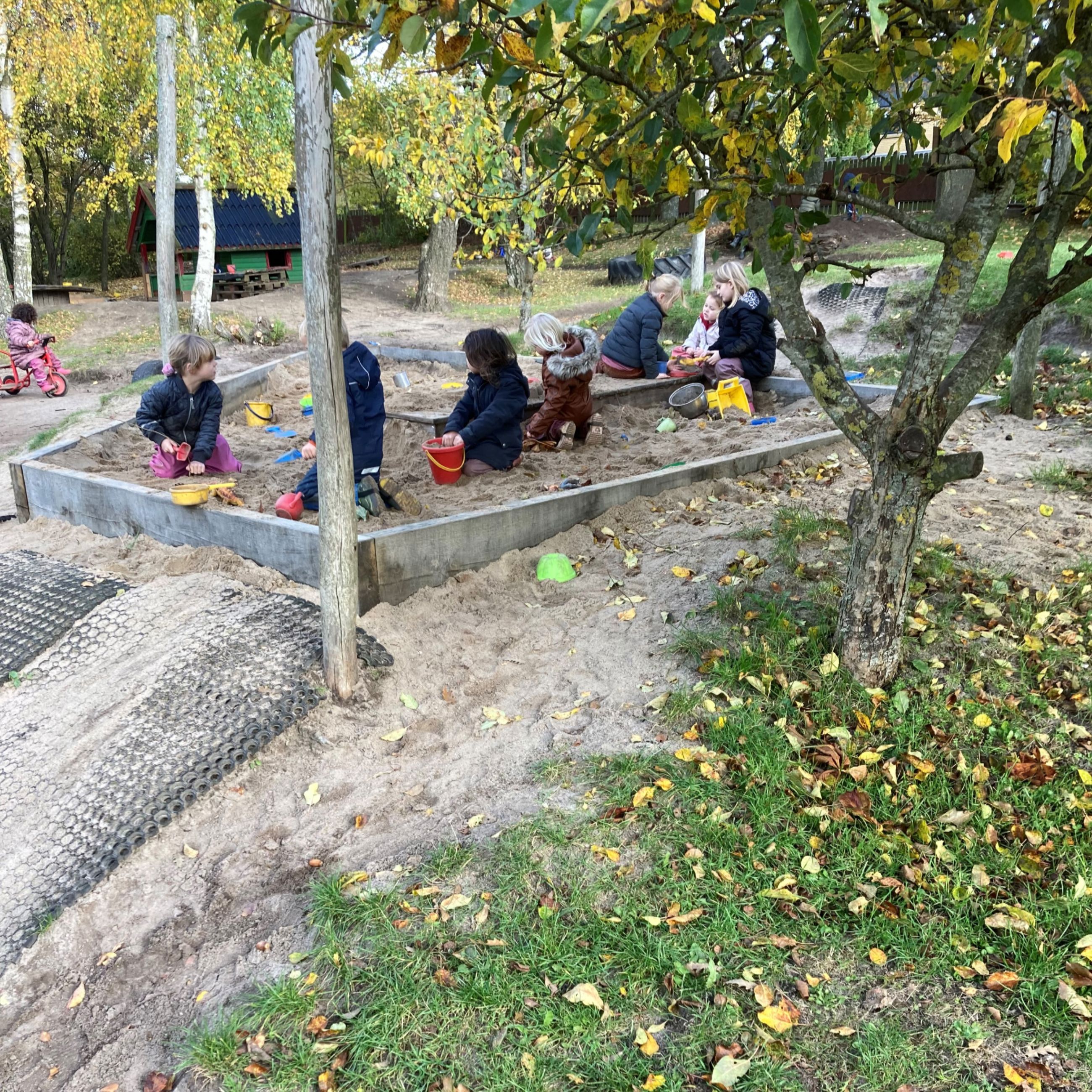 Børnehaven leger i sandkassen i Børnehuset Hørhaven