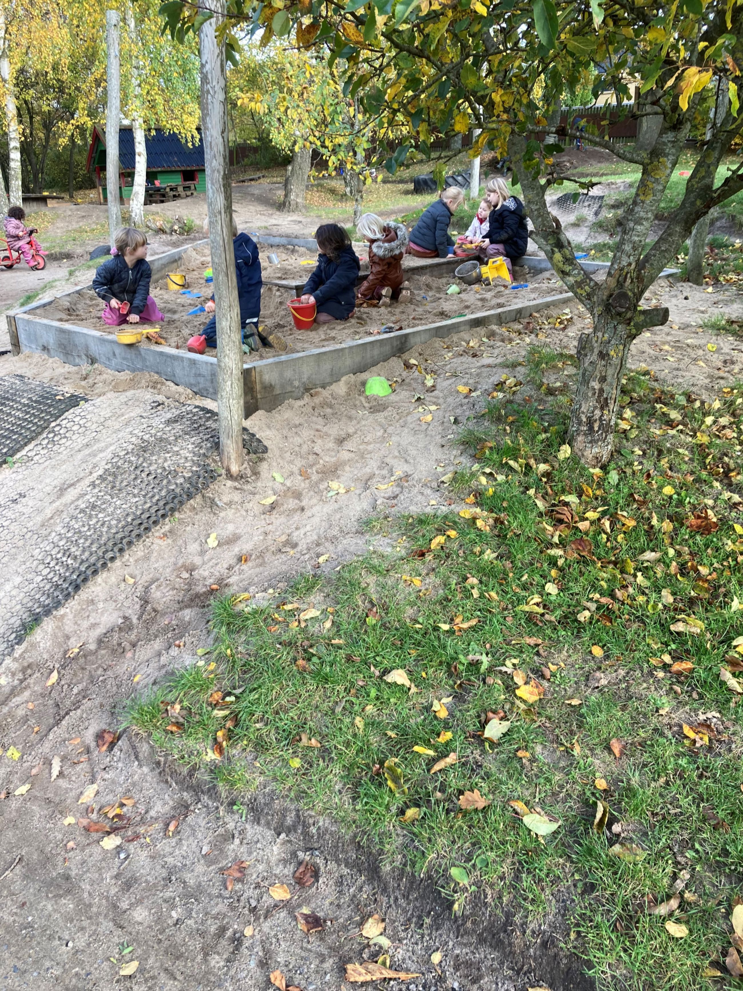 Børnehaven leger i sandkassen i Børnehuset Hørhaven