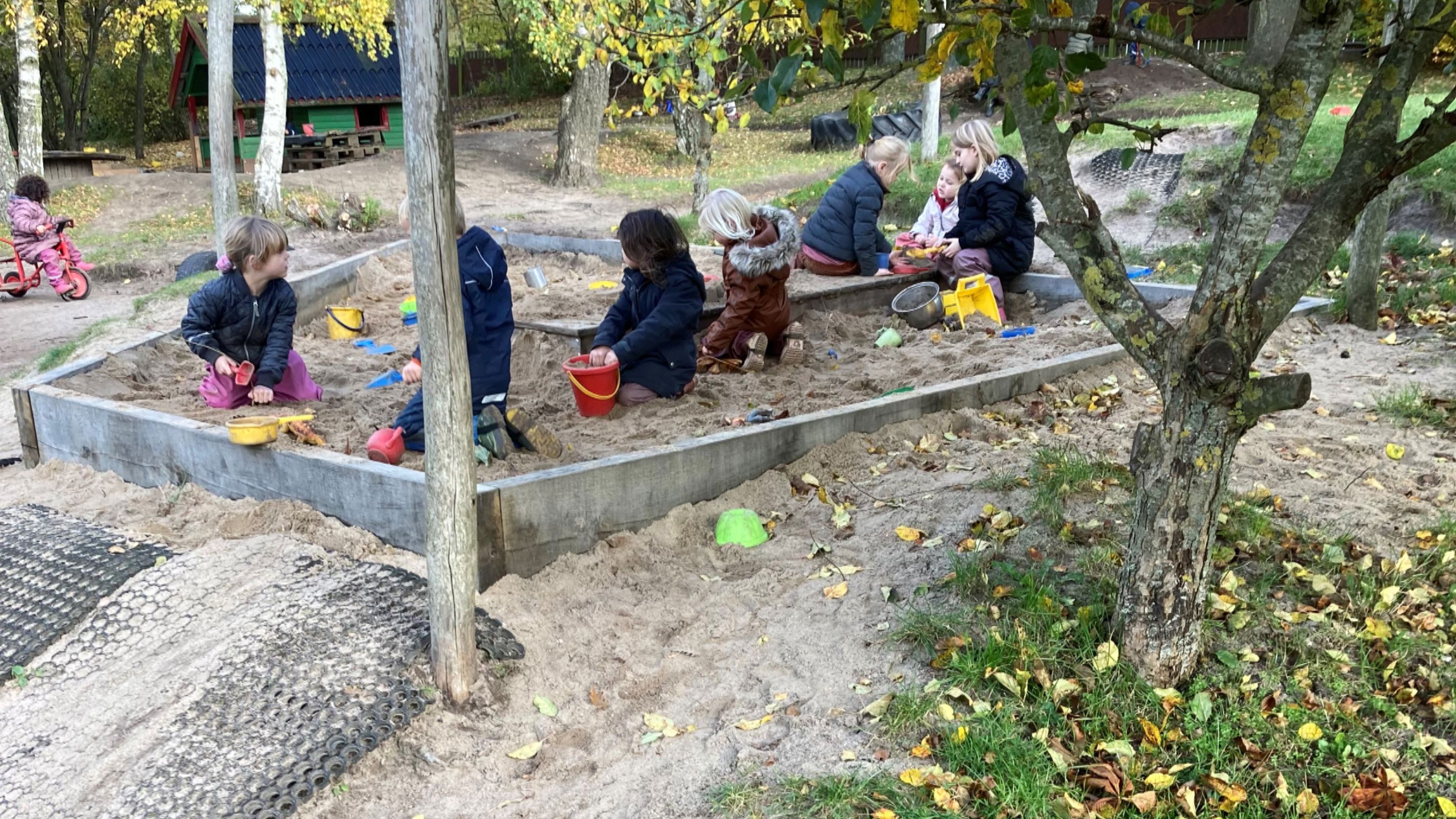 Børnehaven leger i sandkassen i Børnehuset Hørhaven