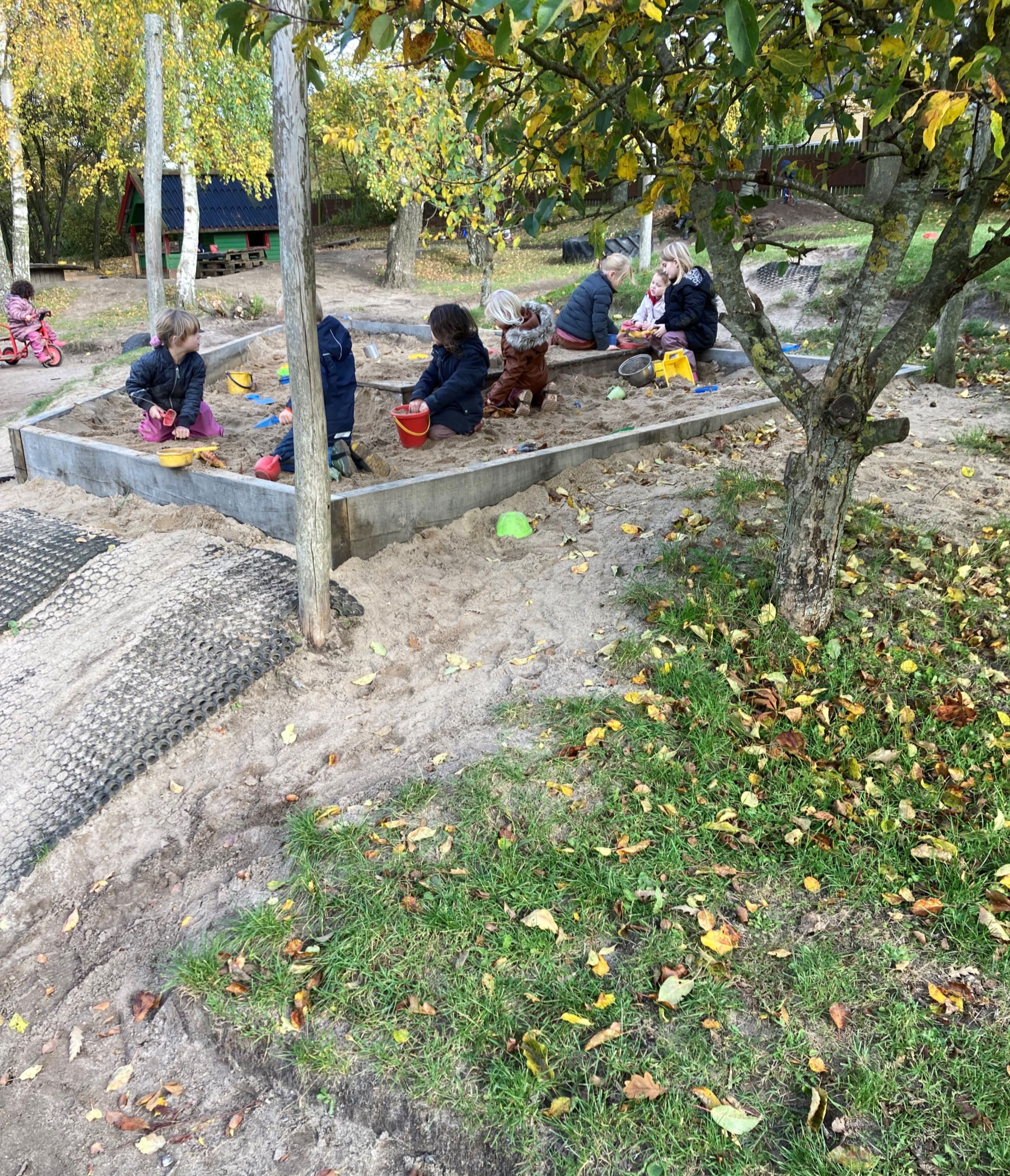 Børnehaven leger i sandkassen i Børnehuset Hørhaven