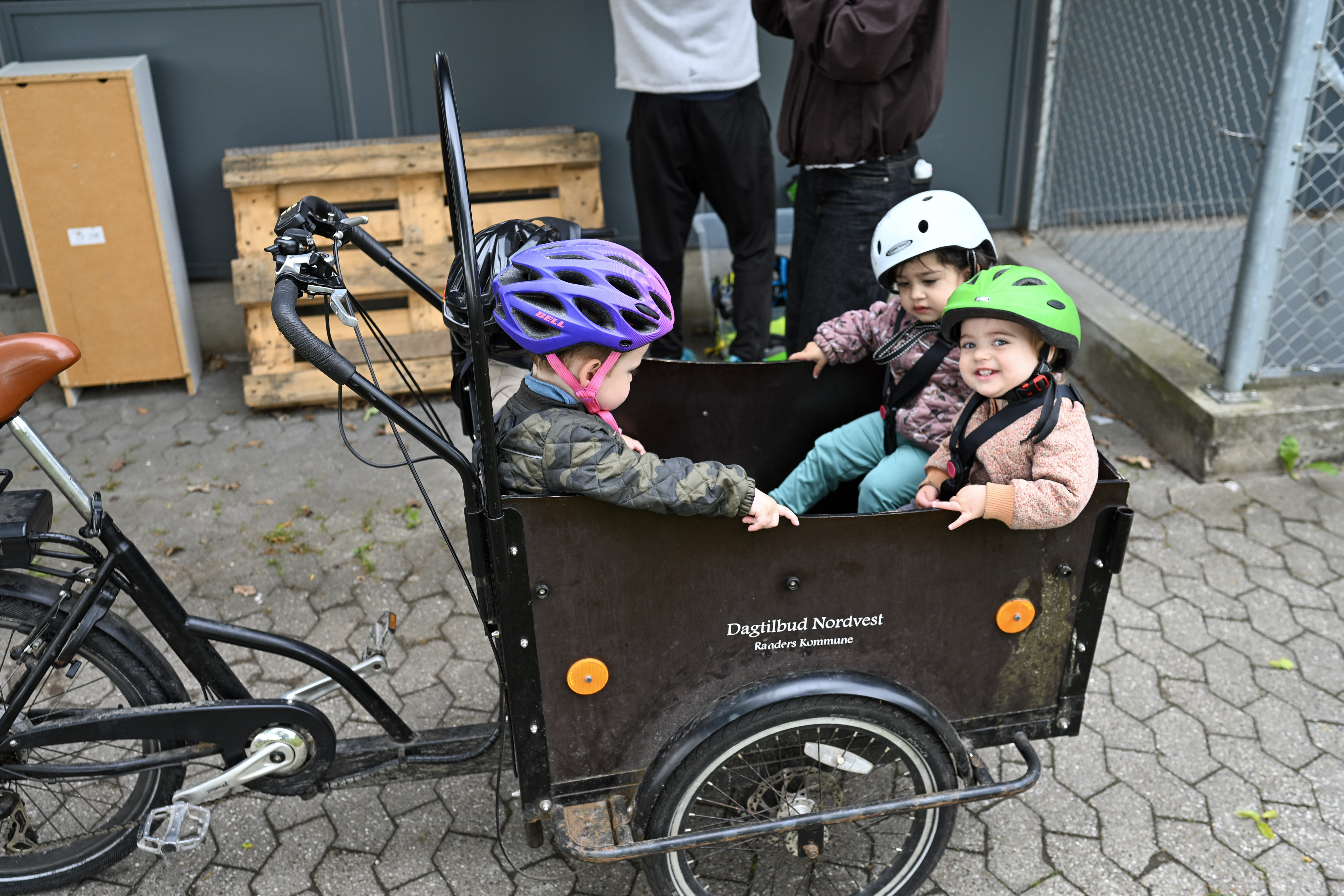 Børn på vej på cykeltur i ladcykler