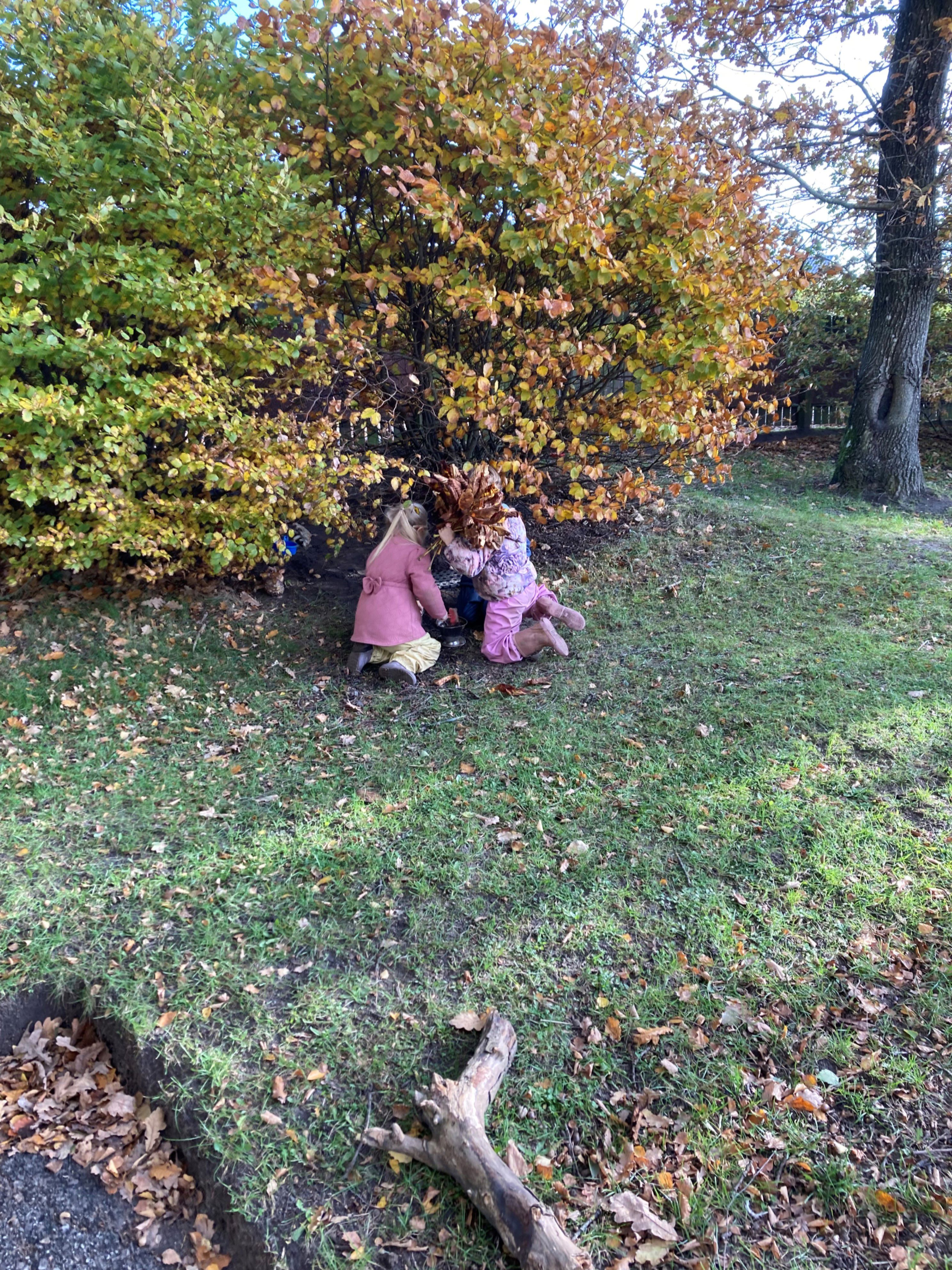 Børn laver sandkager i buskadset i Børnehuset Hørhaven